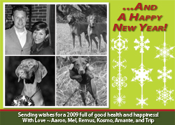 2009 Hoilday Card - Designed by Mel!