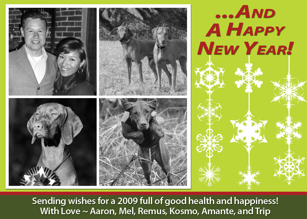 Our 2009 Holiday Card - Designed by Mel